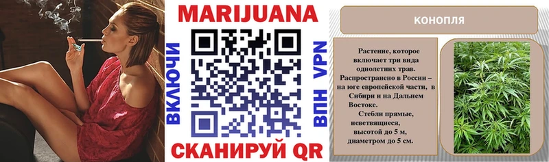 Канабис планчик Горно-Алтайск